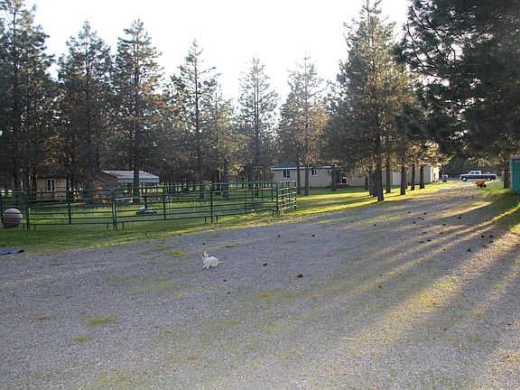 Asst of open and treed areas