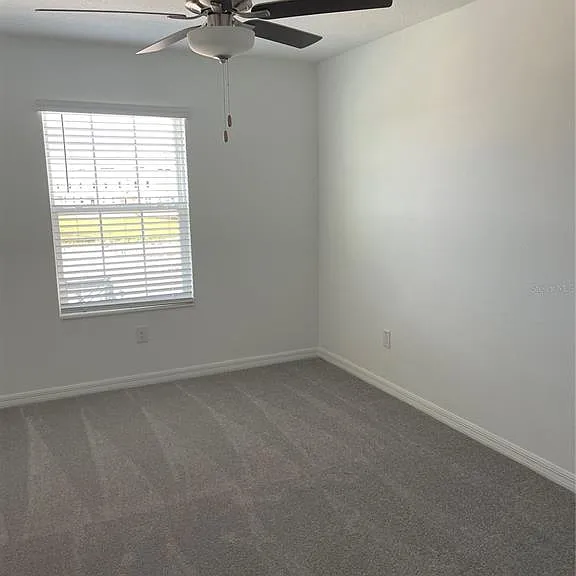 32077 Powderpuff Mimosa Dr — Photo 13