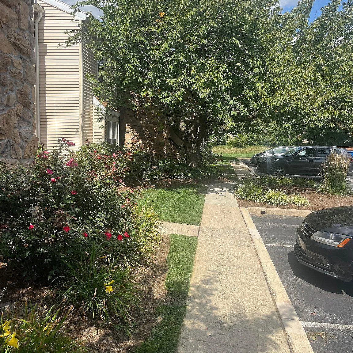 1 bed, 1.0 bath, 946 sqft, $1,200 — Photo 3