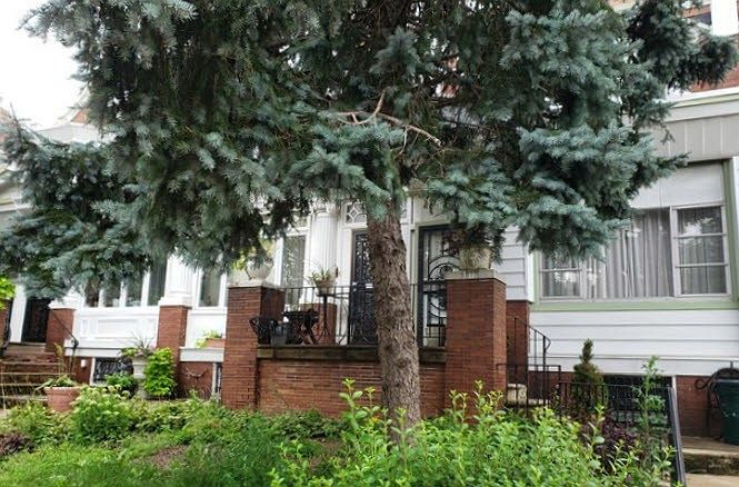 2nd image of 5910 Cobbs Creek Pkwy