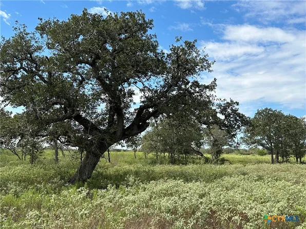TRACT 1 Regan Rd, Victoria, TX 77905