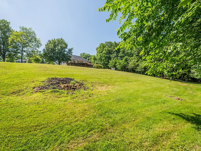 3054 Bedillion Rd — Photo 43