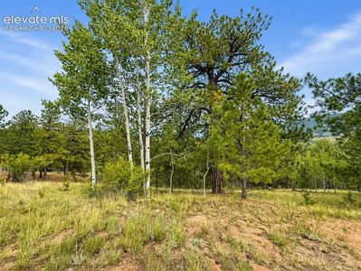 88 May Queen Way, Cripple Creek, CO, 80813