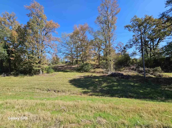 16424 State Highway 155 N, Winona, TX 75792
