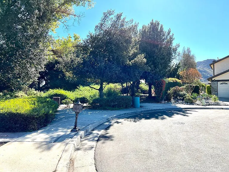 End of the Cul-De-Sac street is a huge Forest Cove Park.