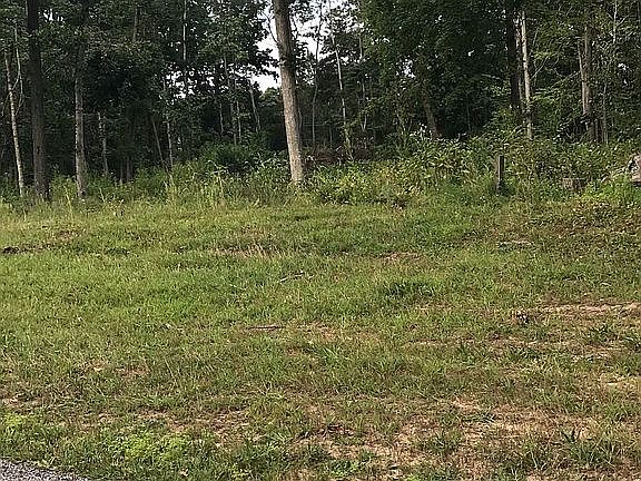 2nd image of 1 W Banks Dr