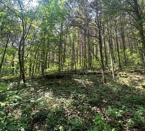4th image of 0 Hiett Hollow Ln