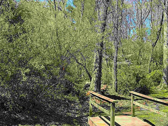 2nd image of Pearcy Ave