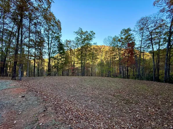 44 Coppermine Rdg, Whittier, NC 28789