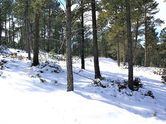 4th image of 26785 Buffalo Butte Dr