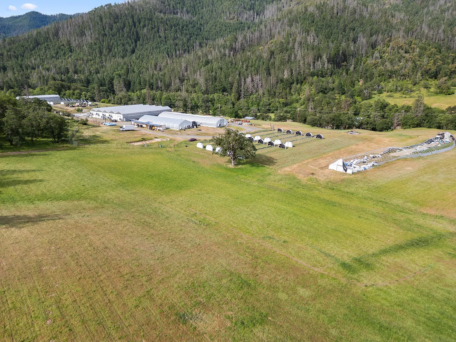 3715 Little Applegate Rd photo 1