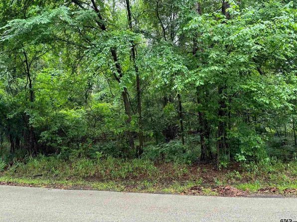 17468 Flaming Tree Way, Flint, TX 75762
