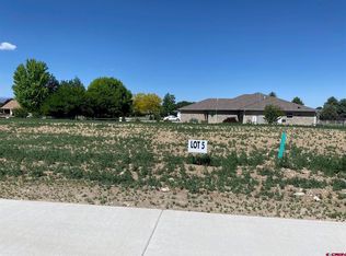 Lot 5 6700 Road, Montrose, CO 81401