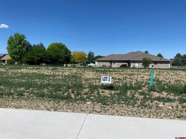 Lot 5 6700 Road, Montrose, CO 81401