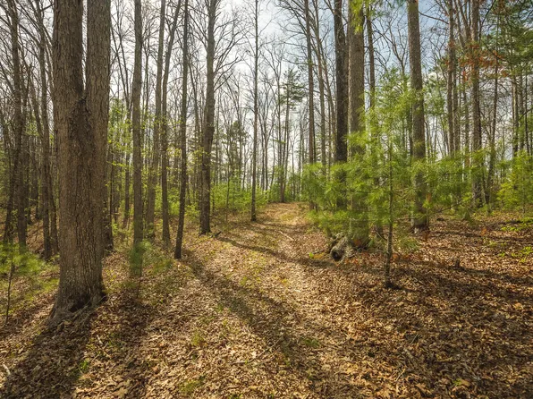 Whip Poor Will Hollow Rd, Warm Springs, VA 24484