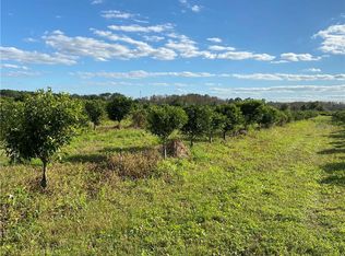 Swamp Dr, Groveland, FL 34736