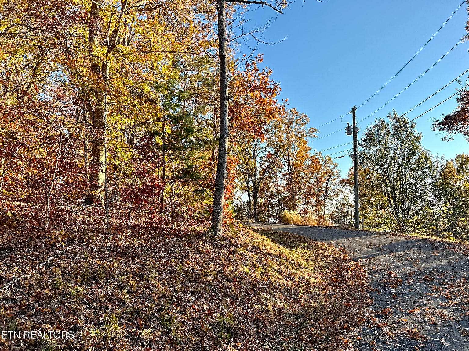 Lakefront Pl, Baneberry, TN 37890 MLS 1246181 Zillow