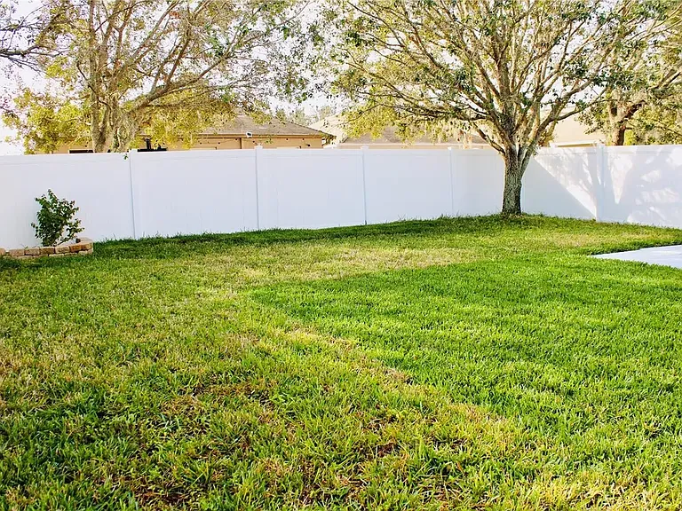 31216 Masena Dr — Photo 3