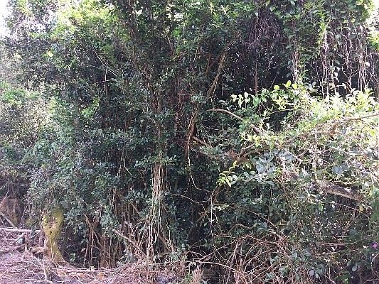 4th image of 15-2722 Malolo St Lot 8