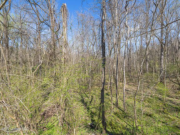 2nd image of 0 Reed Wilson Rd