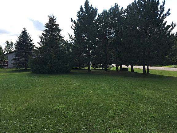 Some of the pines 