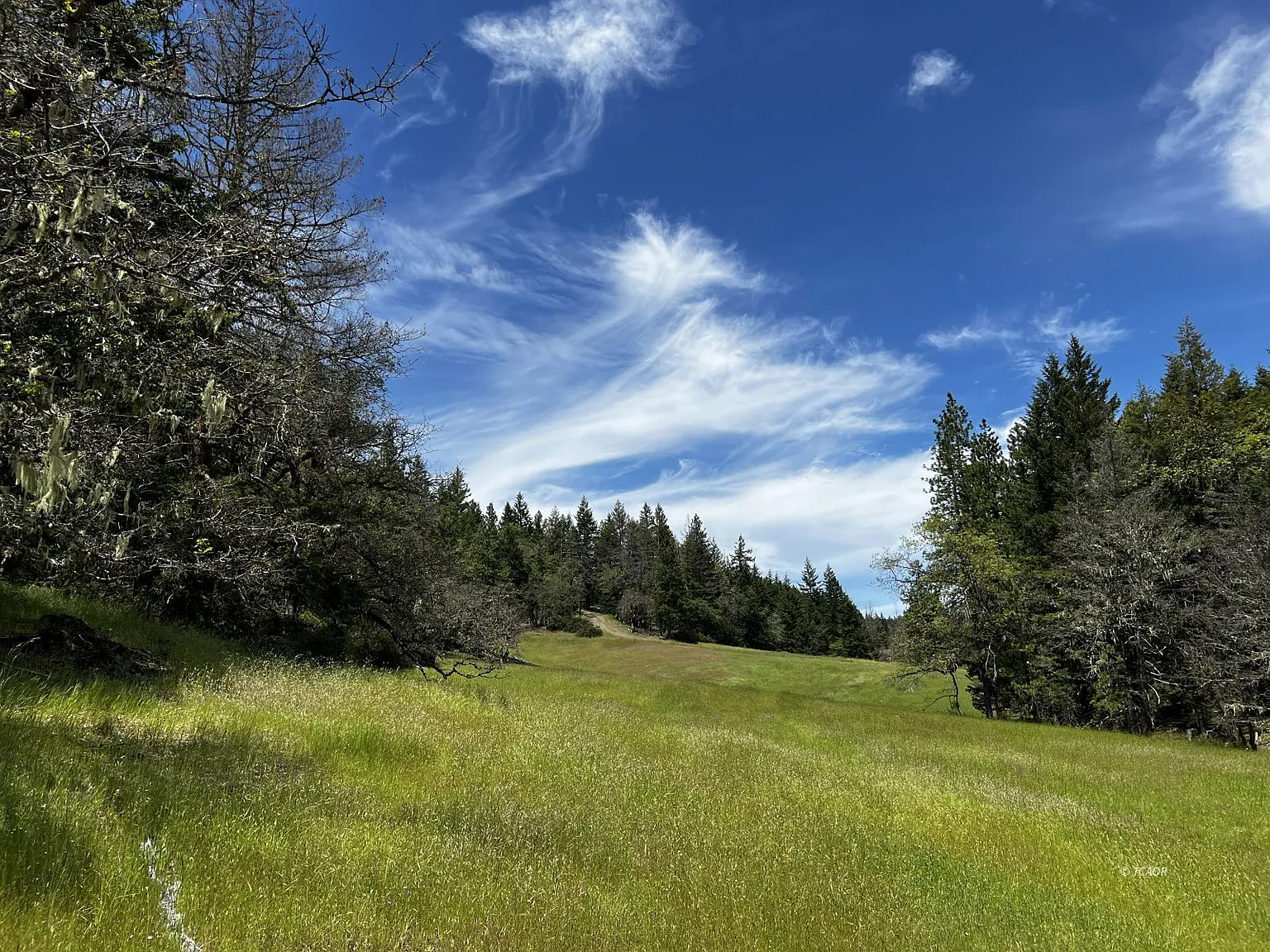 227 Bluff Creek Rd photo 1