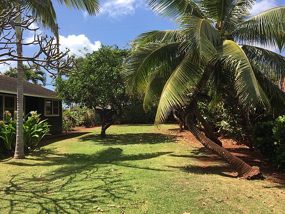 Nice lawn and fruit trees