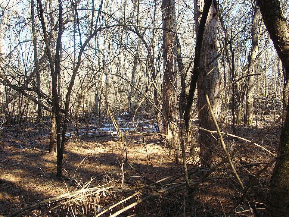 2nd image of Wynsong Dr