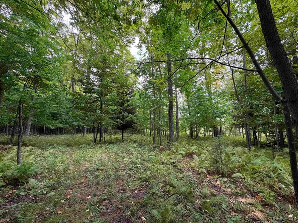 County Road 413, Mc Millan, MI 49853