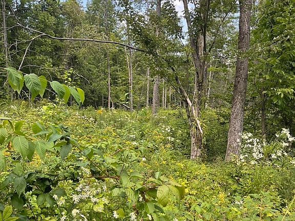 4th image of 208 Erickson Rd