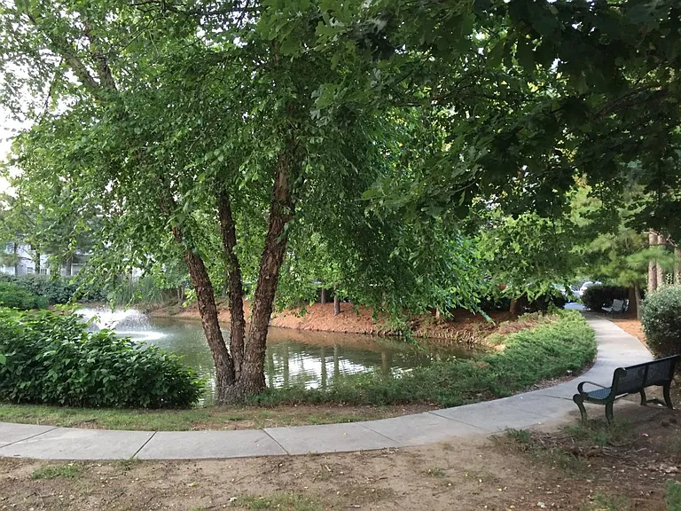 Pond/trails