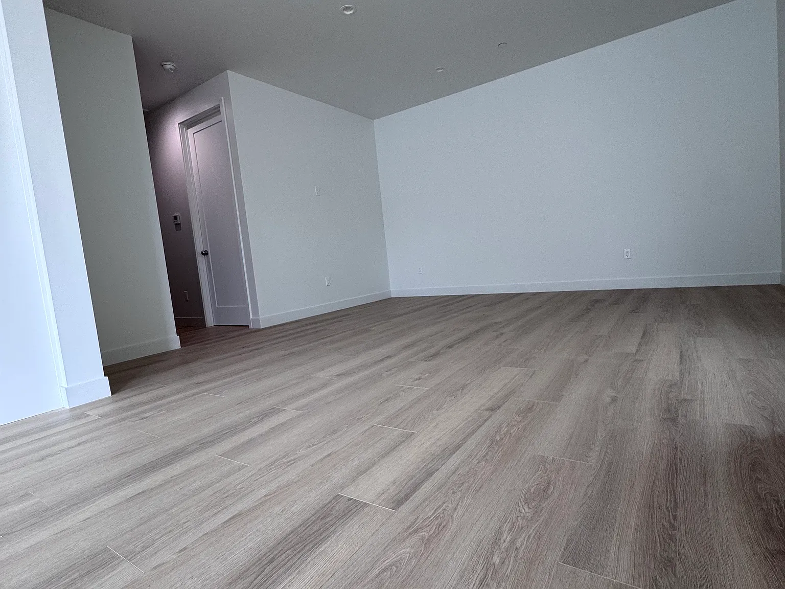 2 bed, 954 sqft, $2,800 — Photo 2