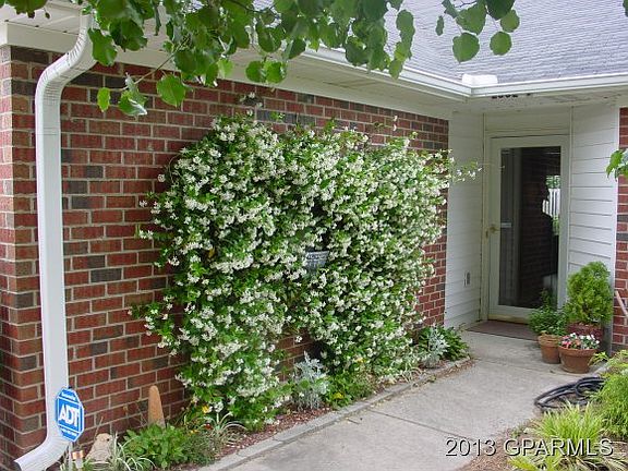2nd image of 2602 B Boone Ct