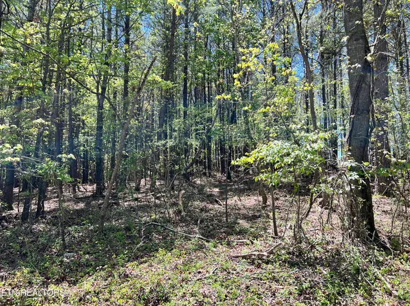 0 Old Hickory Flat Rd, Decatur, TN 37322