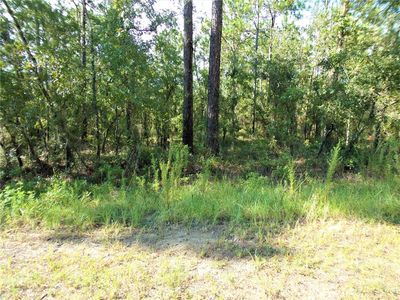 SW 96th Ln LOT 5, Dunnellon, FL, 34432