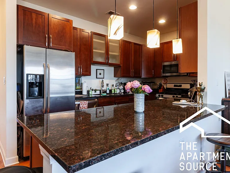 2029 W Division St #PENTHOUSE — Photo 8