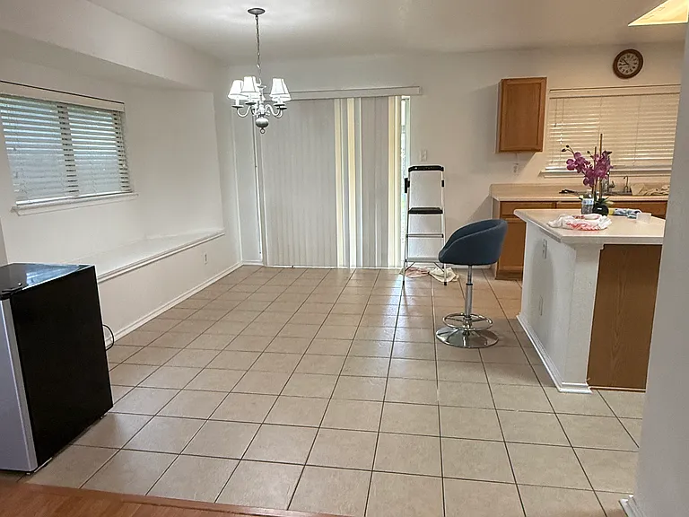 7254 Dwarf Palm — Photo 7