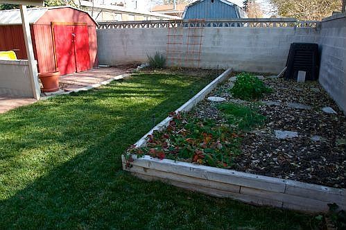large garden and shed