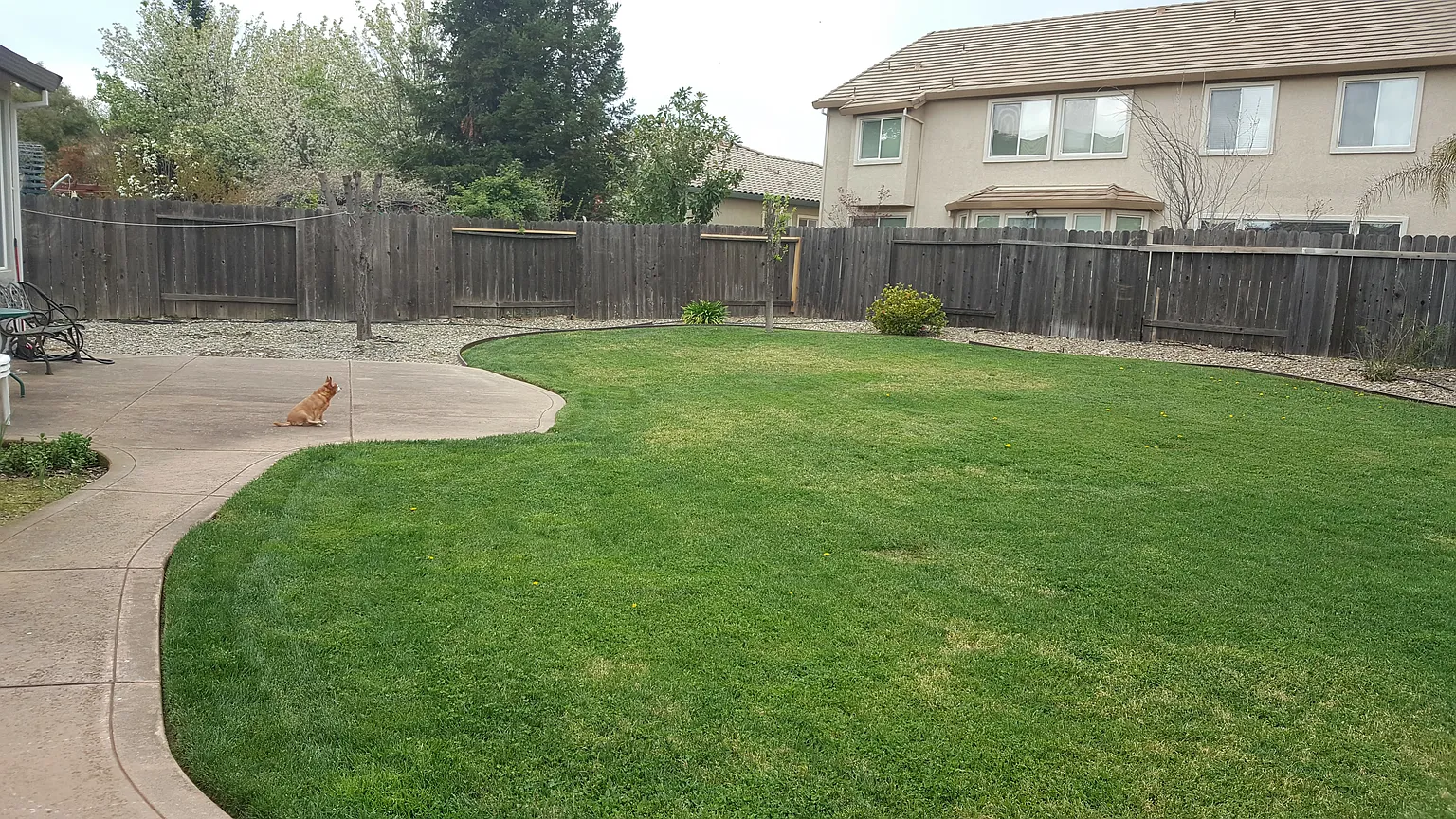 5141 Monetta Ln photo 1