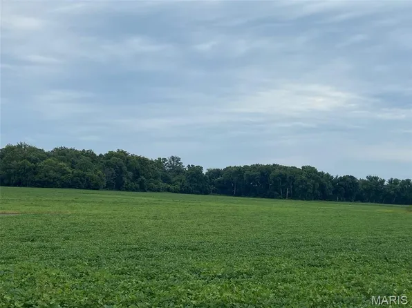 0 S Fork Rd, Red Bud, IL 62278