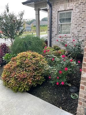 5th image of 172 Tasso Ln NE Lot 3