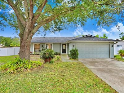 1409 Shadow Bay Ln, Brandon, FL, 33510