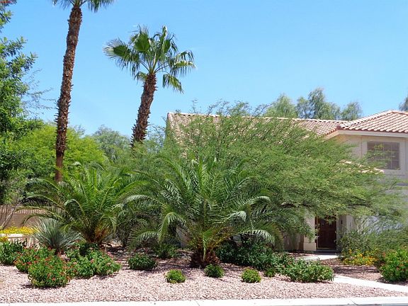 3rd image of 4462 Amber Canyon Ln