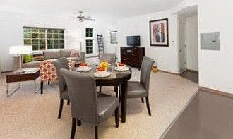 Dining / Living Room