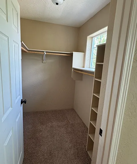 233 Wintersage Cir — Photo 14