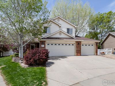 1108 Basin Ct, Windsor, CO, 80550