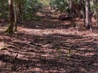 Jungle Rd, Geneva, FL 32732