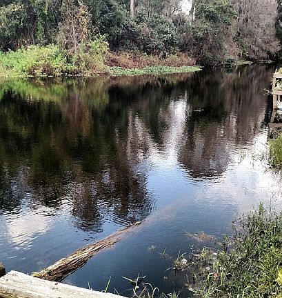 Backyard view of canal
