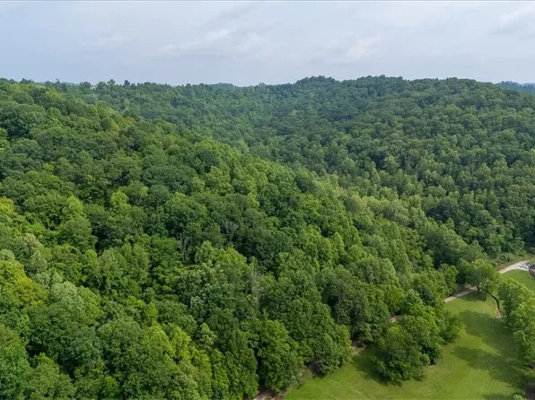 Sandy Run Rd, Elizabeth, WV 26143