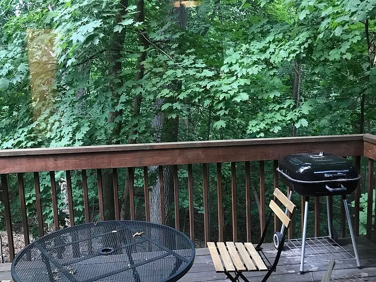 106 Tulip Tree Ct — Photo 17